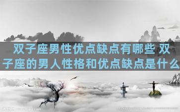双子座男性优点缺点有哪些 双子座的男人性格和优点缺点是什么